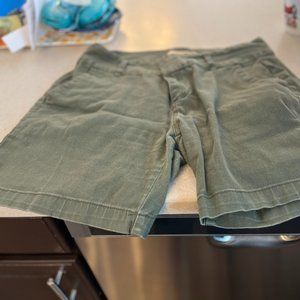 Olive Hybrid Shorts